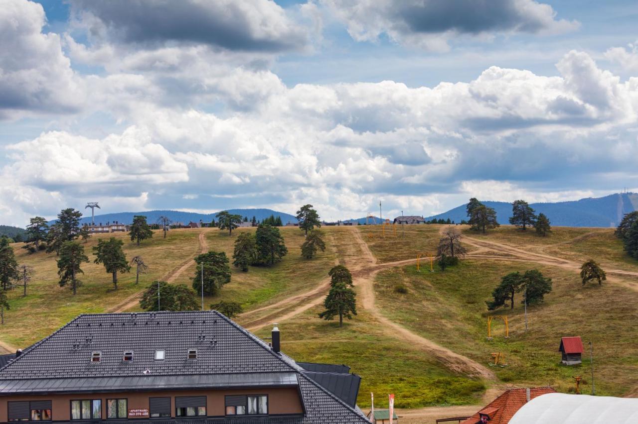 Top Rest - Vila Borova Zlatibor Luaran gambar